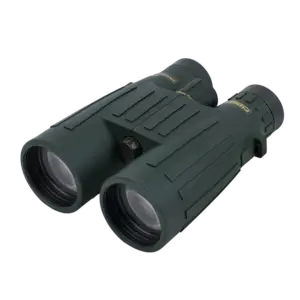 STEINER OBSERVER