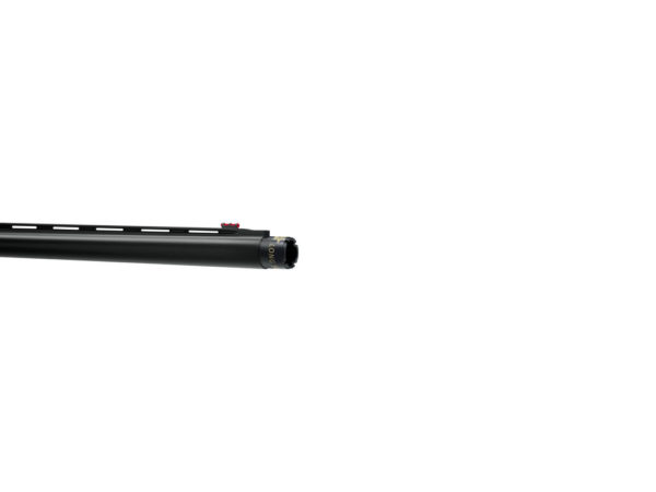 BENELLI MYGRA - Imagen 2