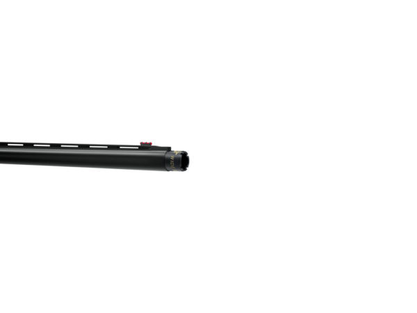 BENELLI MYGRA - Imagen 3